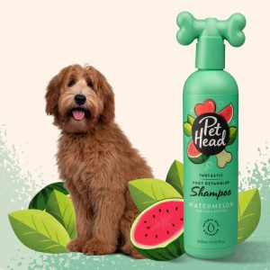 Шампоан за Кучета с Дълга и Къдрава Козина Pet Head 300ml